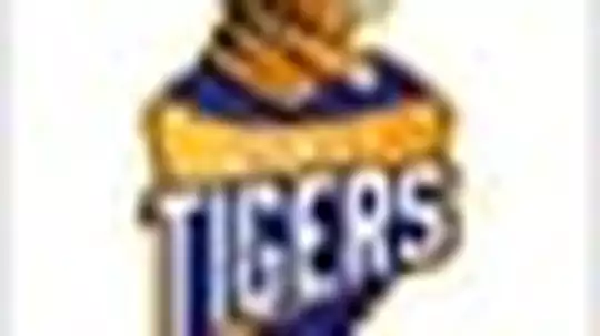 HUBLI TIGERS