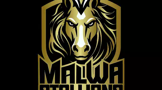 Malwa Stallions