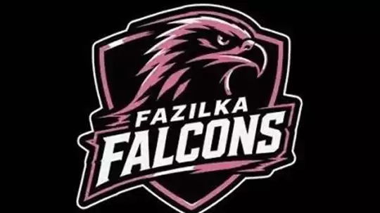 Fazilka Falcons