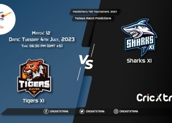 Pondicherry T20 Tournament, 2023, TIG vs SHA 14th Match Prediction, Fantasy Cricket Tips